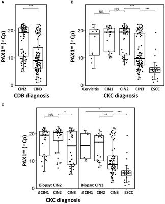 The role of PAX1 methylation in predicting the pathological upgrade of cervical intraepithelial neoplasia before cold knife conization